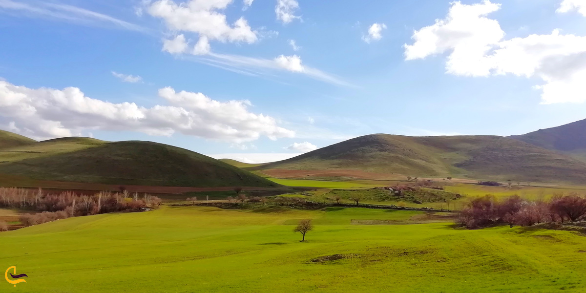 تصویری از طبیعت سرسبز سقز