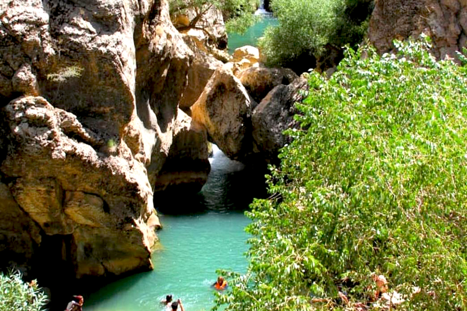تصوری از طبیعت شیراز