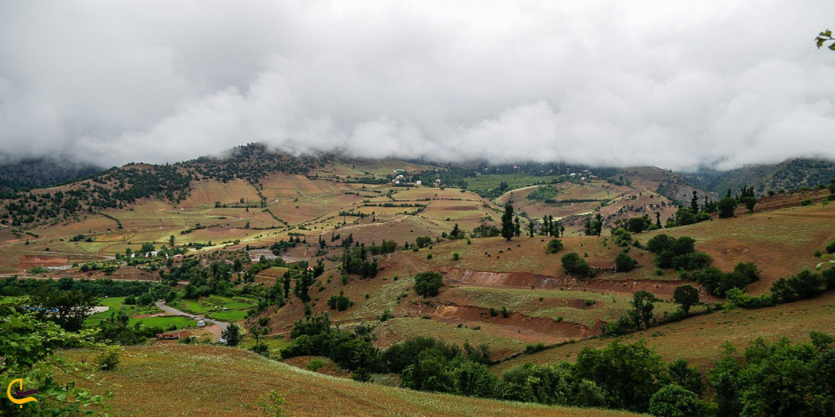 تصویری از طبیعت سرسبز ییلاق داماش