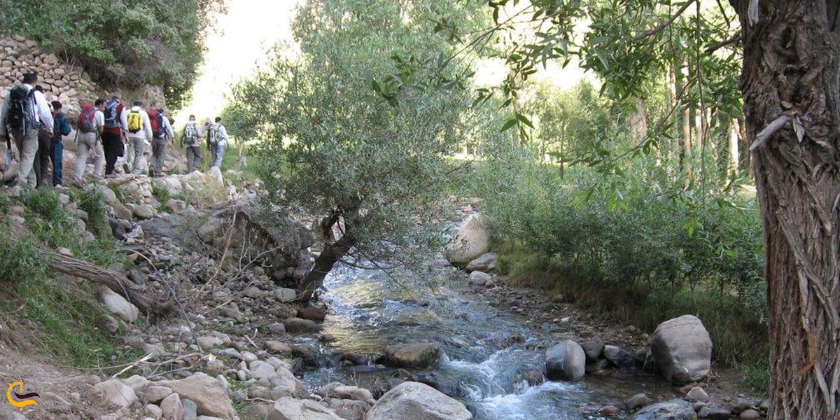تصویری از طبیعت روستای لیقوان