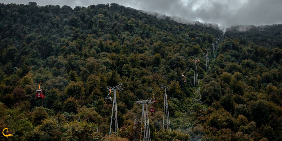 تصویری از طبیعت رامسر