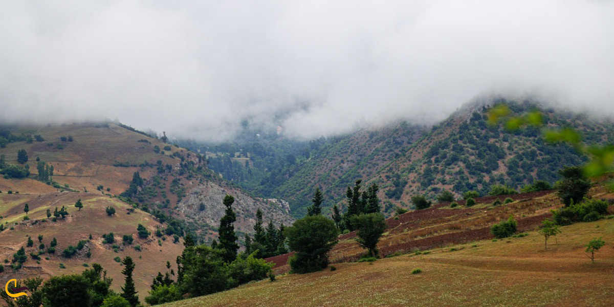تصویری از طبیعت سرسبز ییلاق داماش