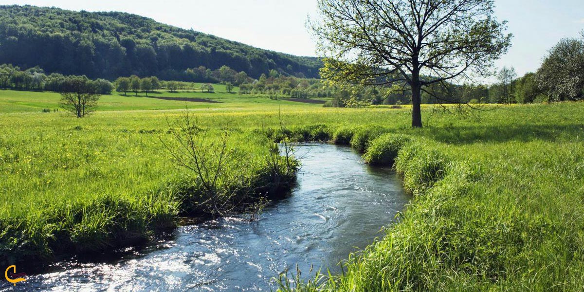 تصویری از طبیعت سرسبز تازناب