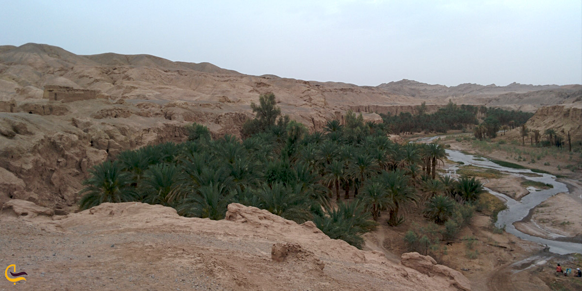 تصویری از طبیعت سرسبز روستای کشیت