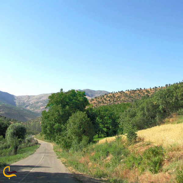 تصویری از روستای نجنه