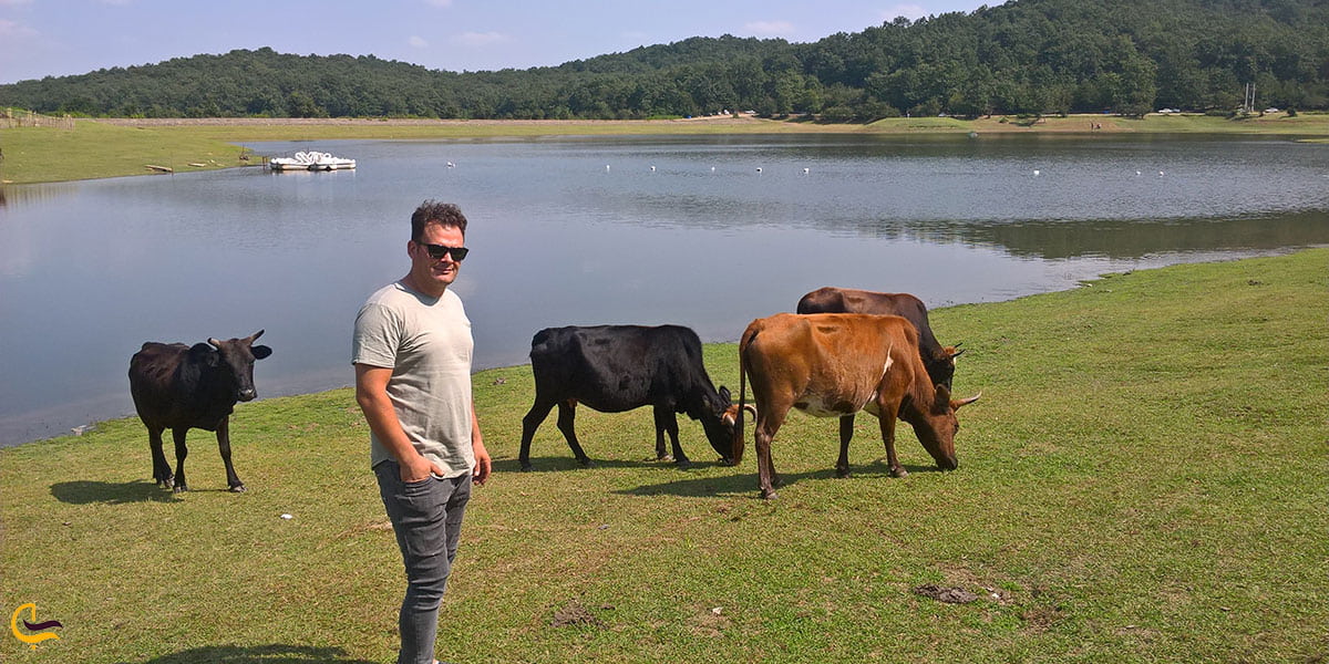 عکس پوشش جانوری دریاچه سقالکسار