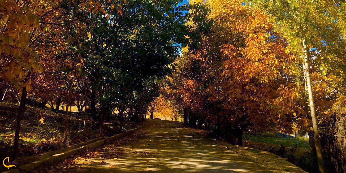 عکس پاییز چشمه سراب فارسبان