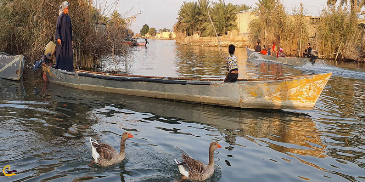 عکس پرنده نگری در روستای صراخیه خوزستان