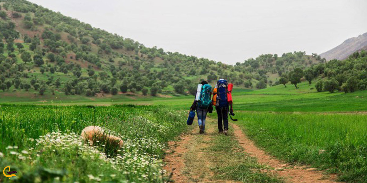 تصویری از کمپینگ در طبیعت سرسبز تنگه پیازه