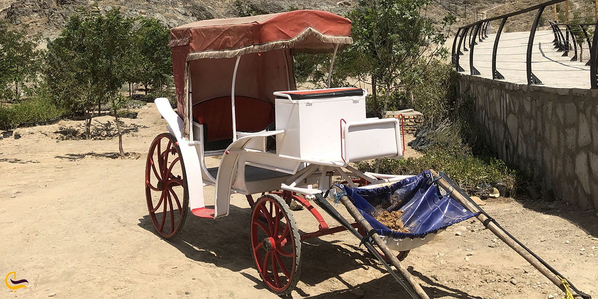 عکس درشکهسواری در زیست پارک مشهد