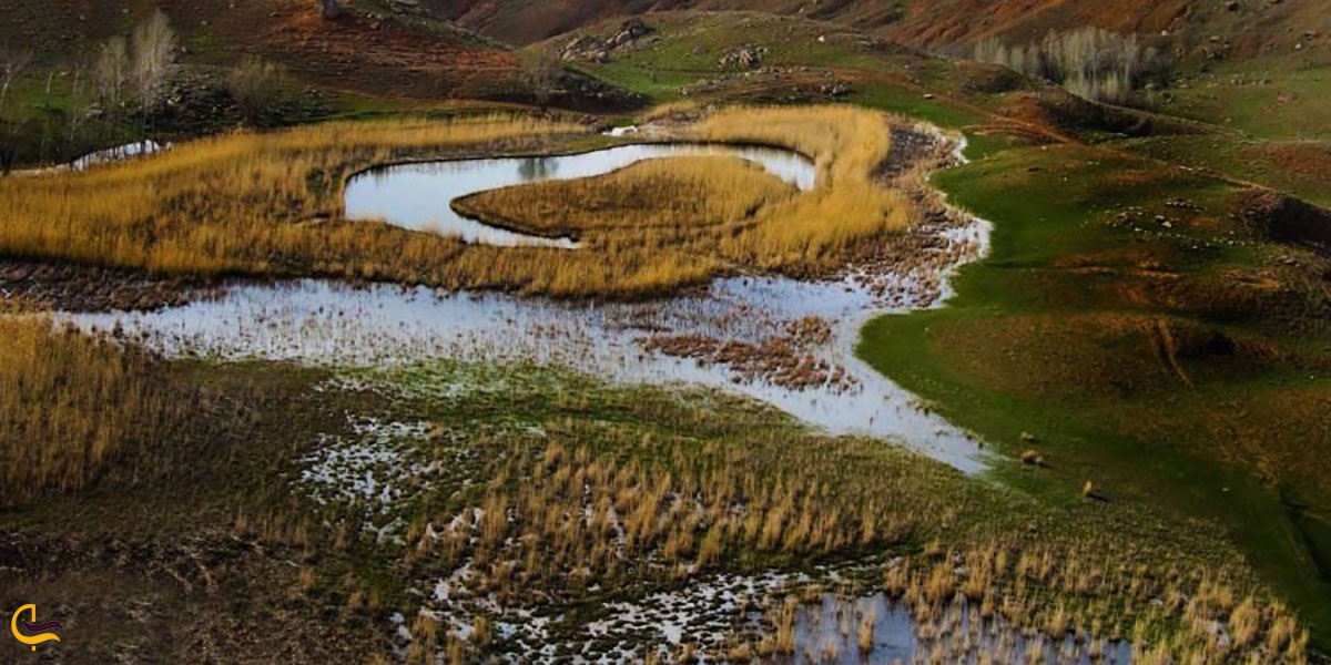 عکس چمن متحرک چملی