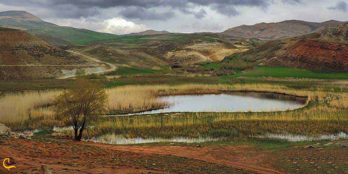 چمن متحرک چملی در تکاب