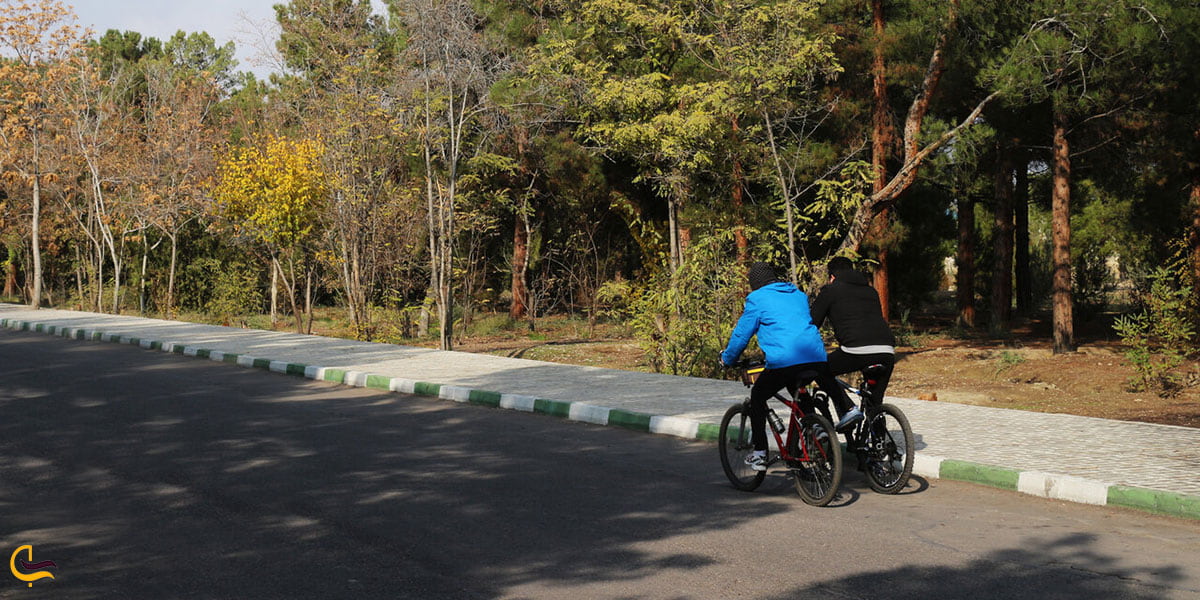 عکس دوچرخه سواری در بوستان جنگلی یاس