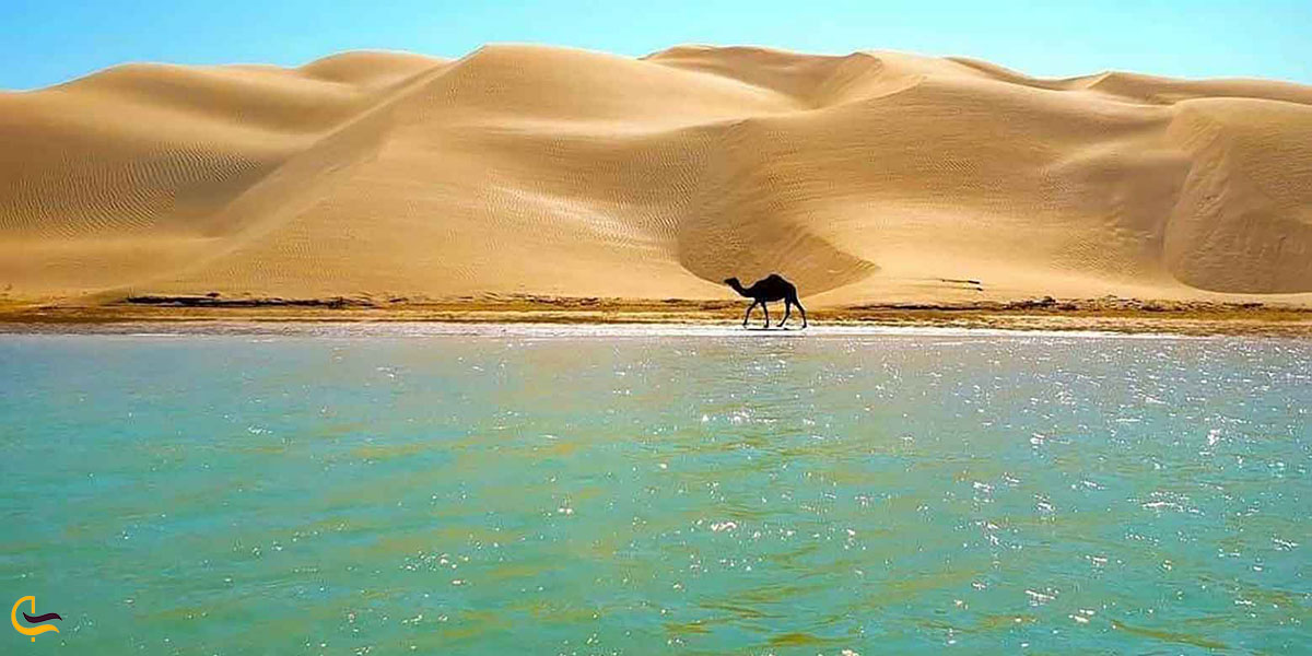 عکس روستای درک چابهار