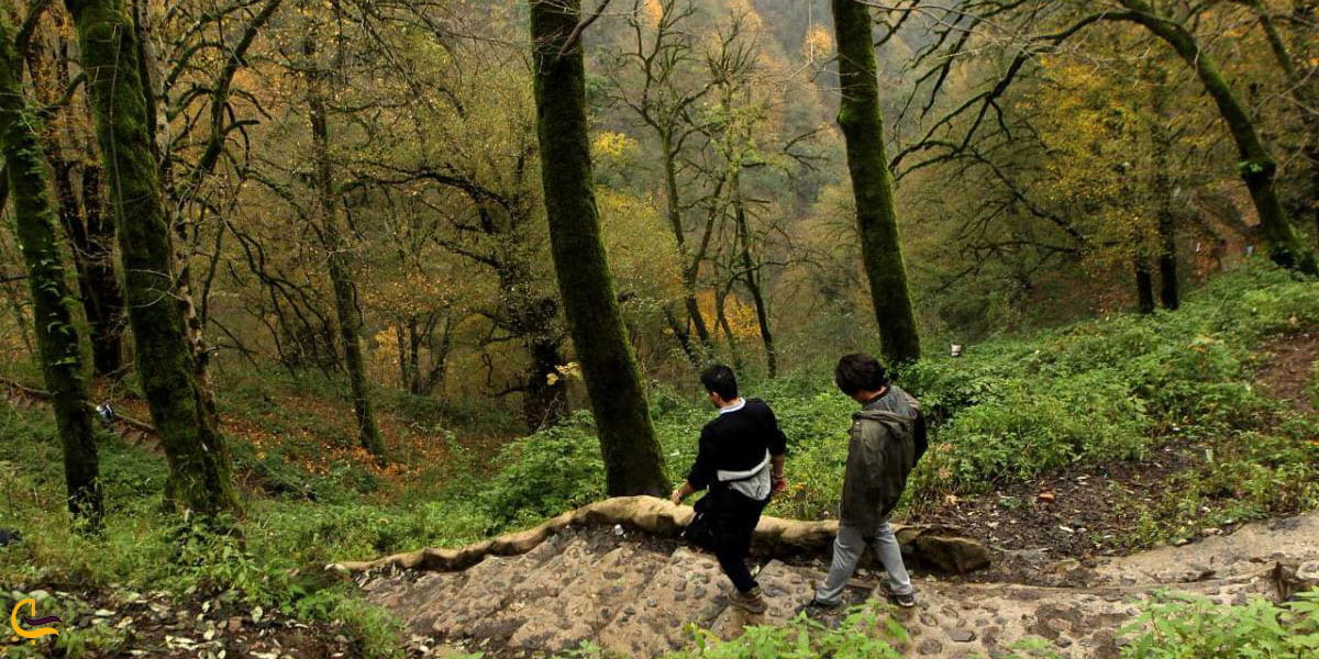 عکس پارک جنگلی دکتر درستکار