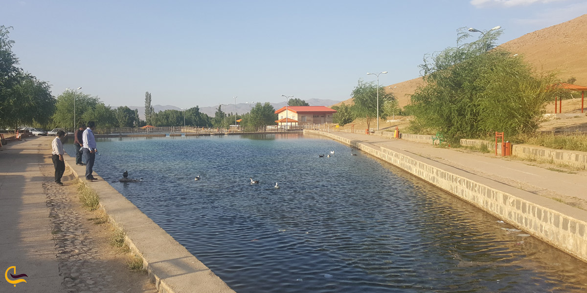 عکس از چشمه شاه بلاغی