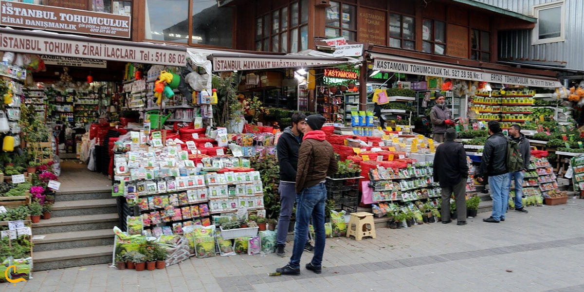 عکس بازار گل و پرندگان استانبول
