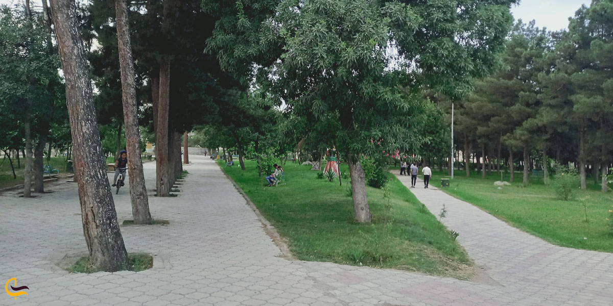 تصویری از پارک کاج اردبیل