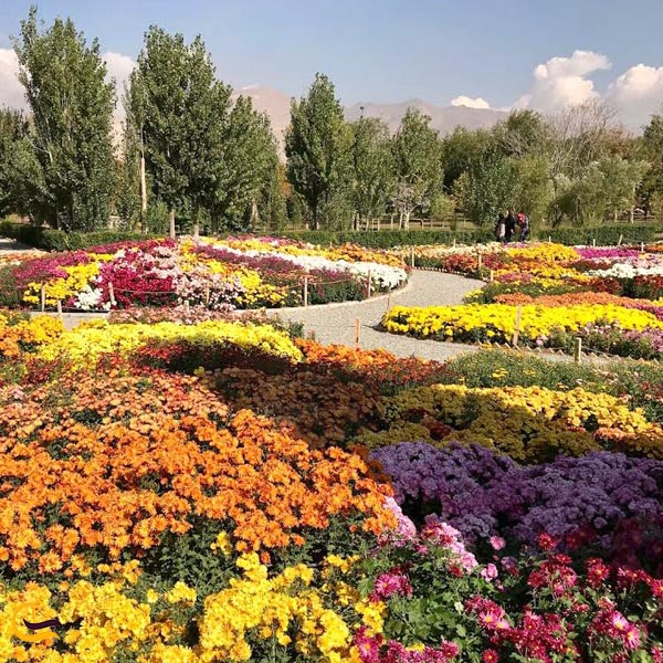 عکس گلهای باغ ملی ایران در تهران