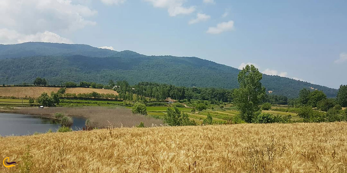 عکس دریاچه طبیعی استخر پشت