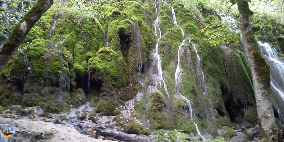 عکس طبییعت اطراف آبشار 