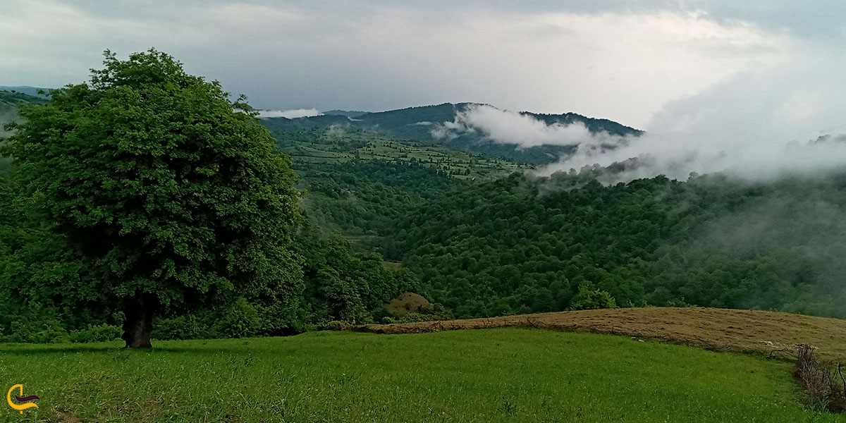 عکس طبیعت نکا