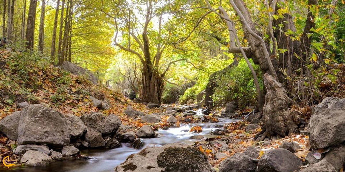 عکس طبیعت‌گردی چشمه‌ سراب فارسبان