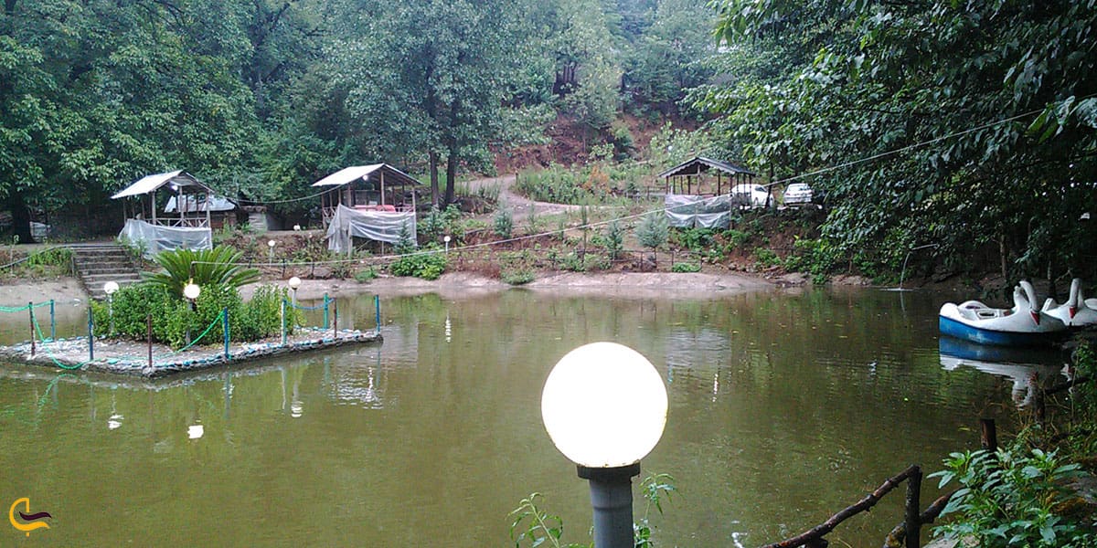 عکس قایق‌های پدالی در دریاچه قو