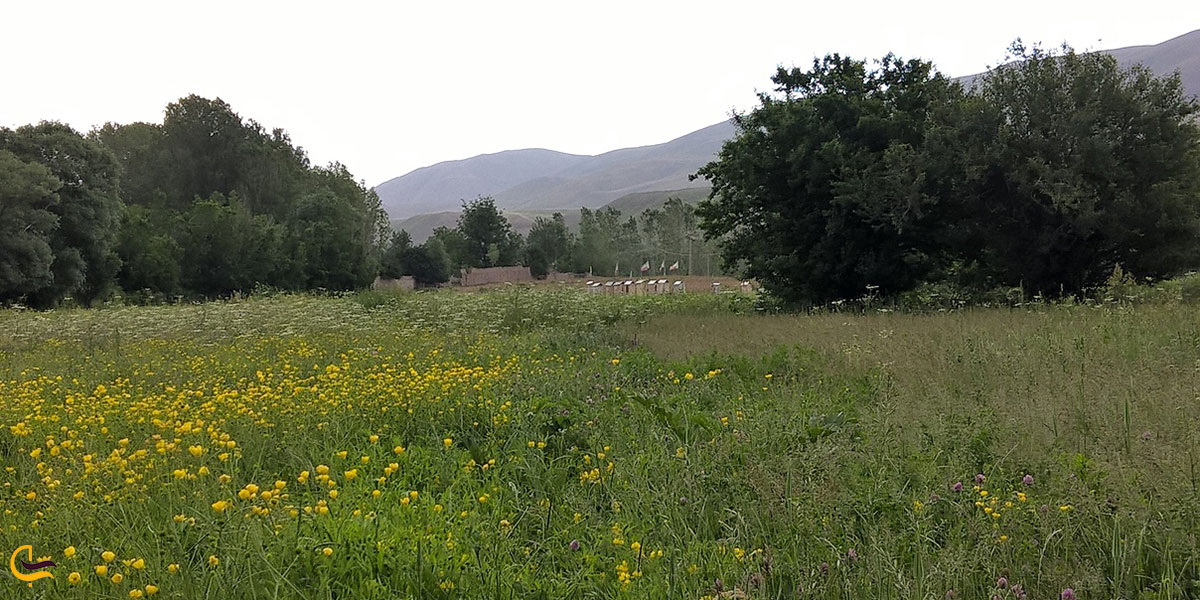 عکس دشت های سراب