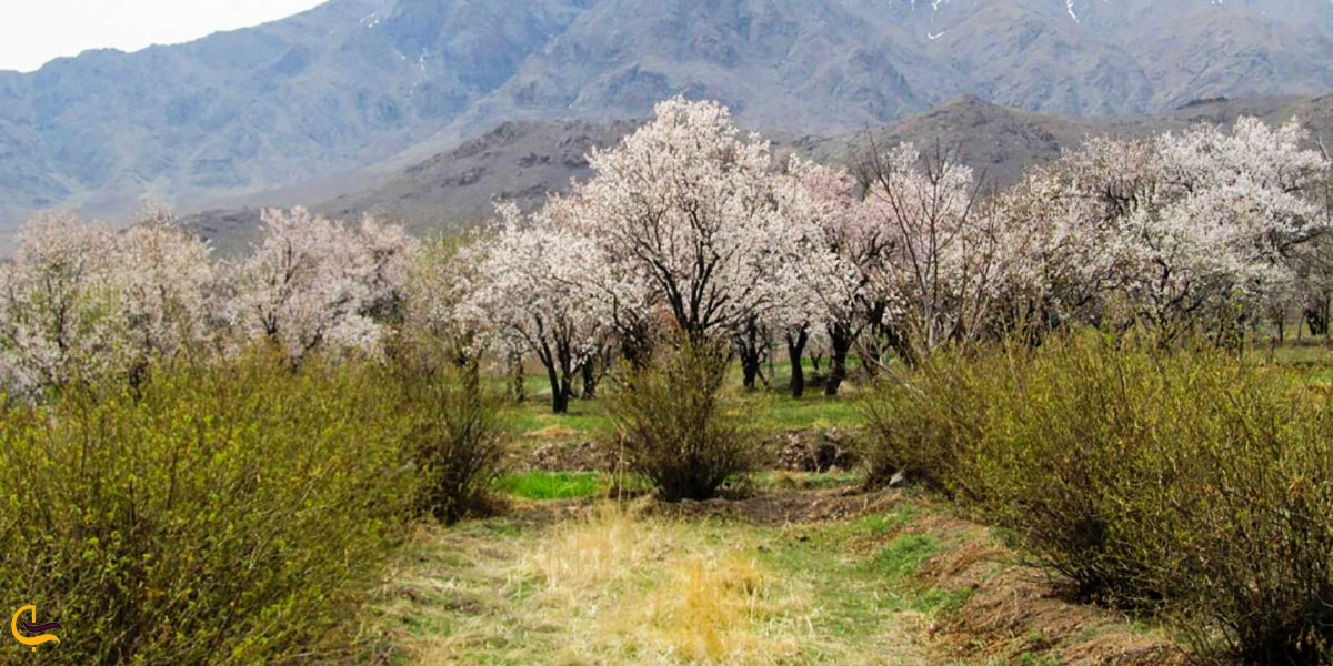 عکس طبیعت زیبای مشهد اردهال