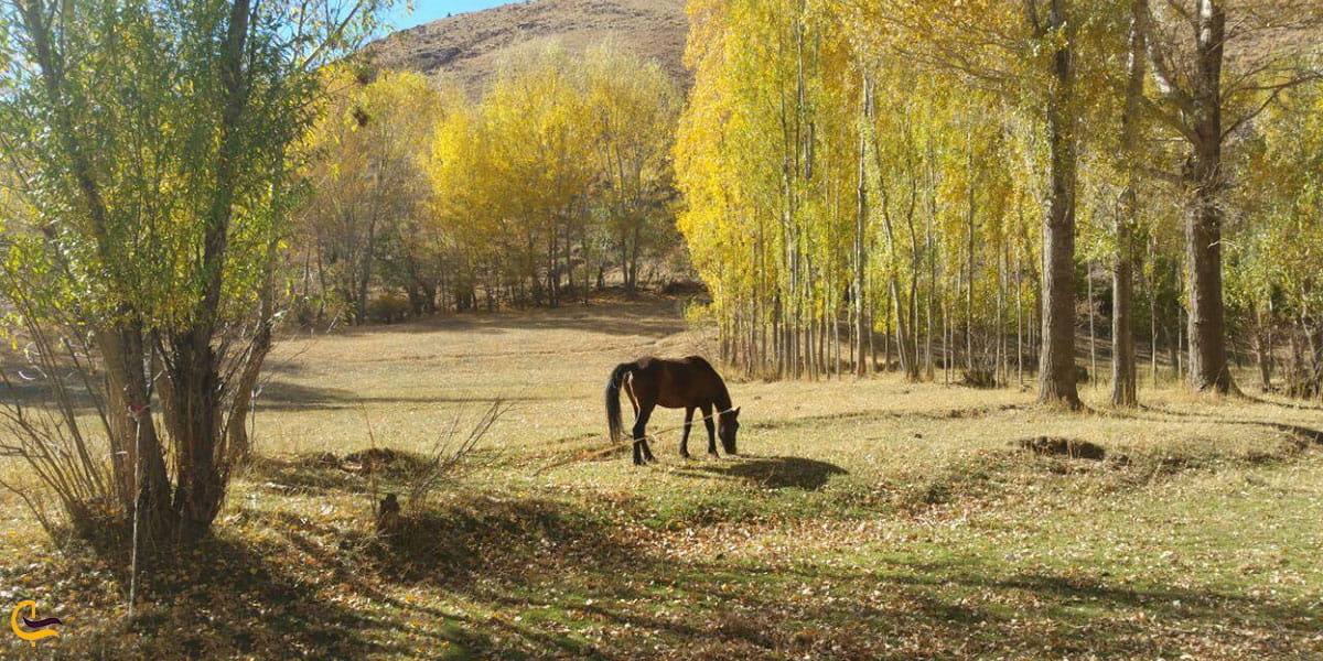عکس طبیعت زیبای سراب