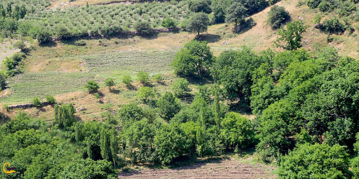 عکس طبیعت آشخانه