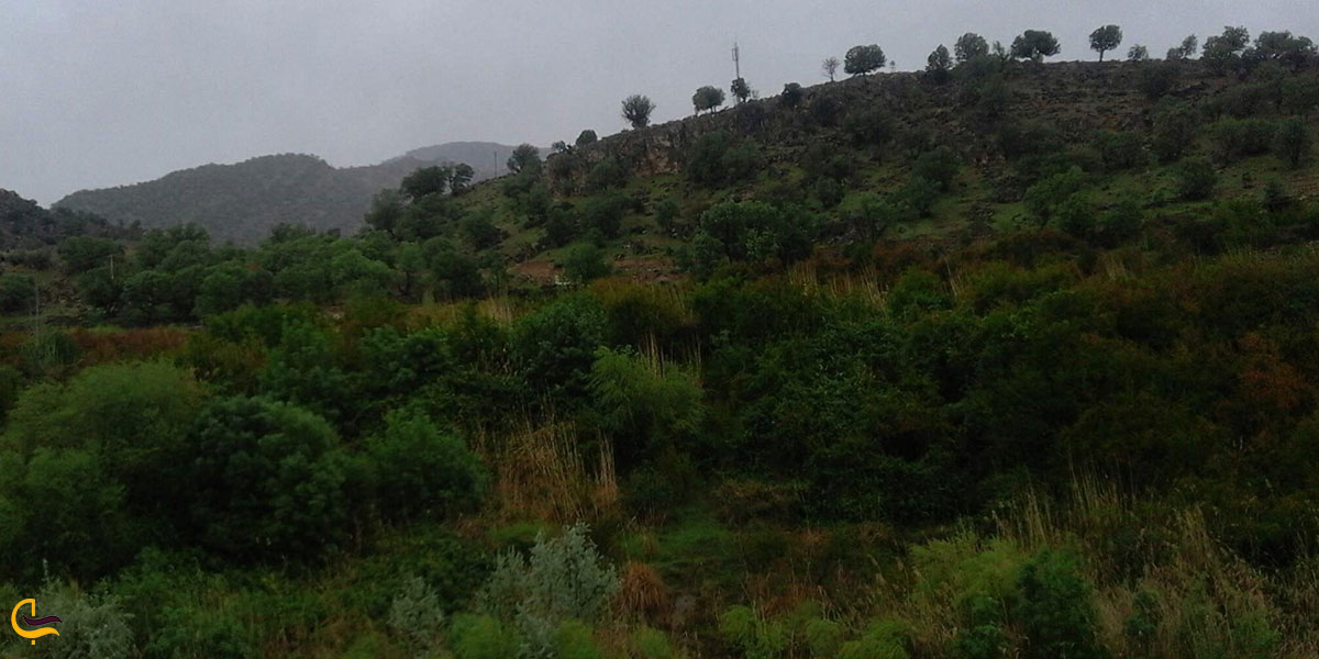 عکس طبیعت تنگه دم اسب