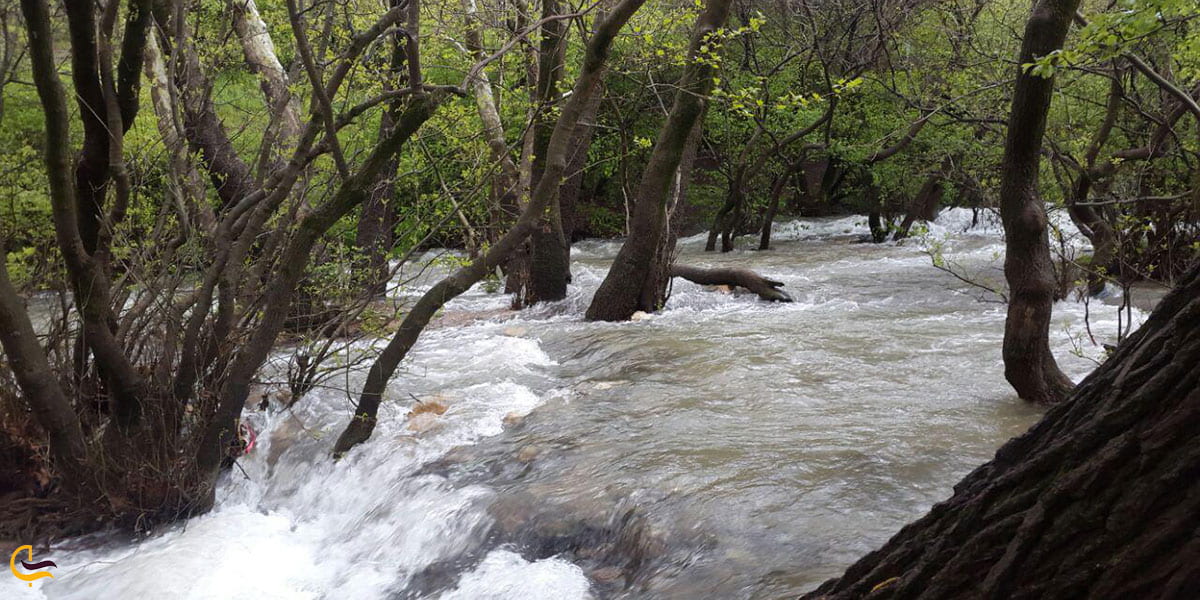 عکس طبیعت سراب