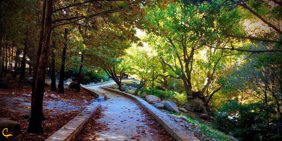 عکس پوشش گیاهی اطراف سراب فارسبان