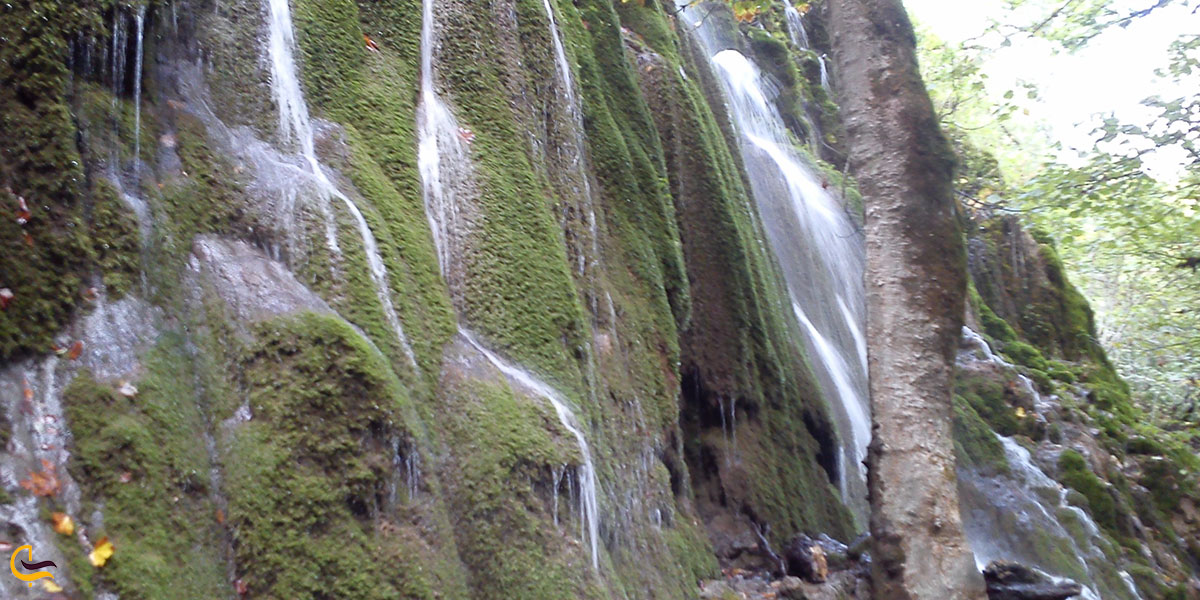 عکس پوشش گیاهی آبشار اوبن