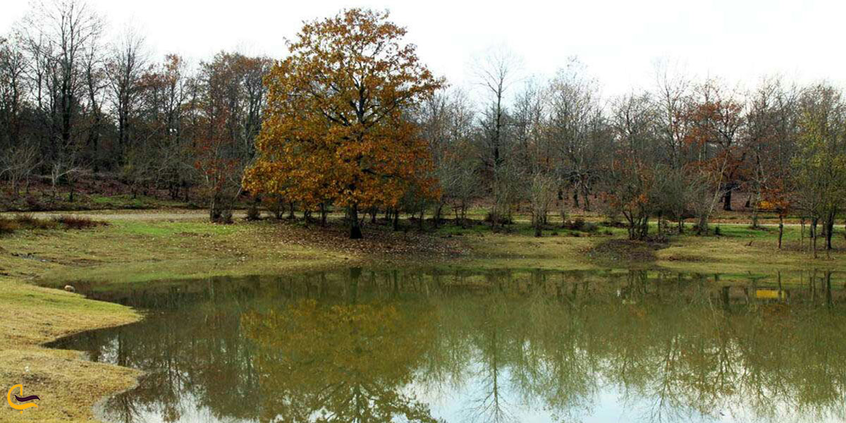 عکس پوشش گیاهی دریاچه سقالکسار