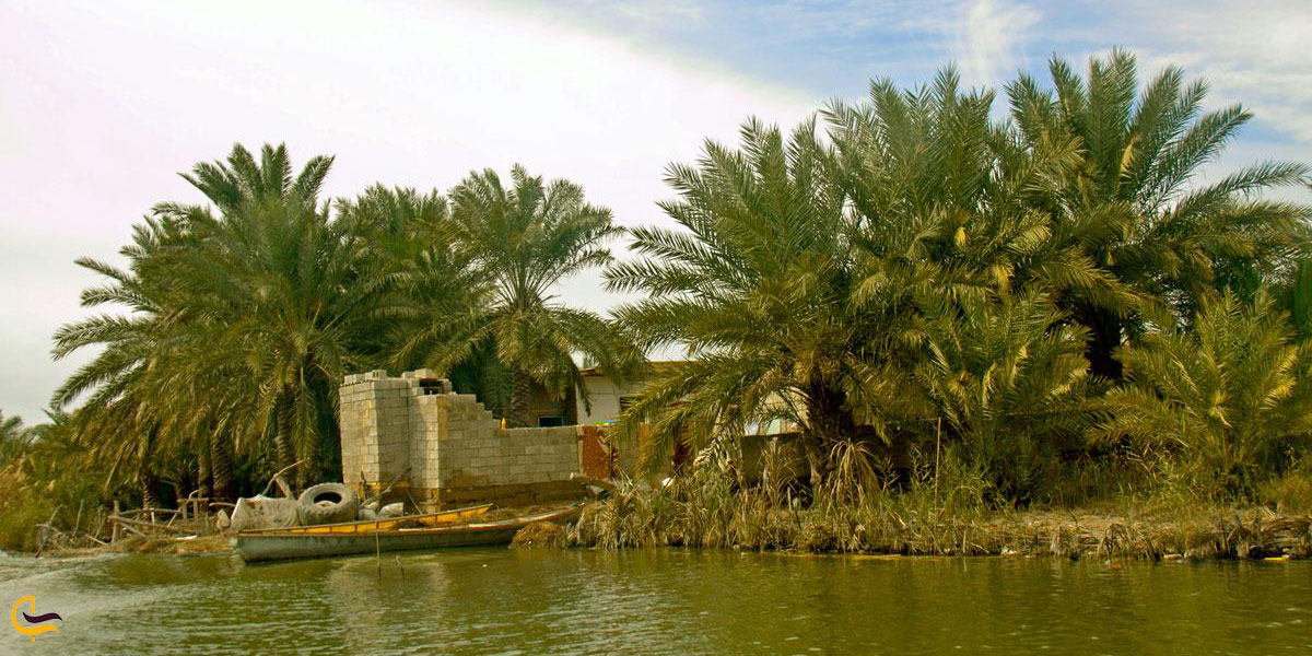 عکس پوشش گیاهی روستای سراخیه