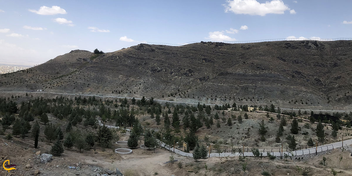 عکس بهترین زمان بازدید زیست پارک