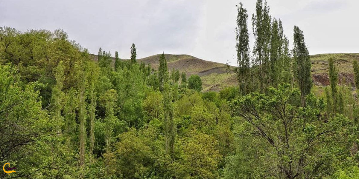 تصویری از روستای عنبران