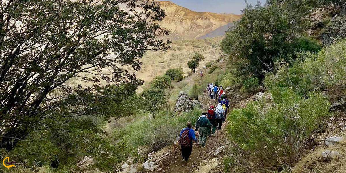 تصویری از طبیعت آبشار گچان