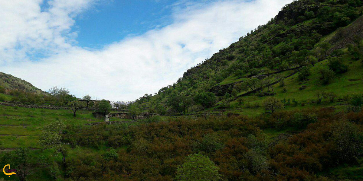 عکساز طبیعت سرسبز پاوه