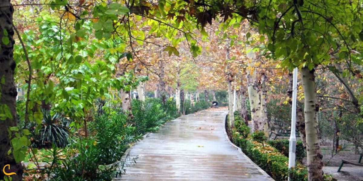 تصویری از مسیر مخصوص دوچرخه‌سواری و پیاده‌روی