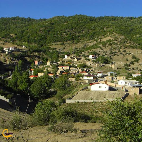 تصویری از روستای رضی آباد