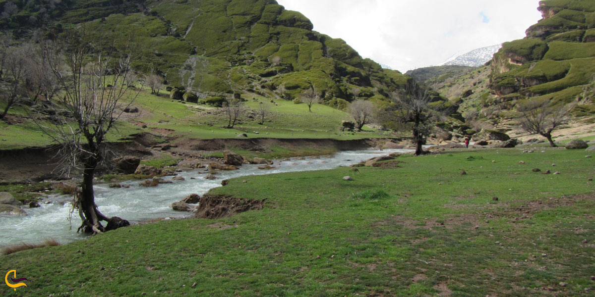 تصویری از تنگه پیازه