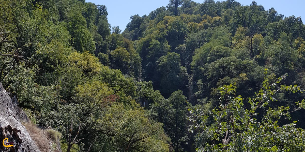 تصویری از طبیعت سرسبز و دیدنی آبشار لوه