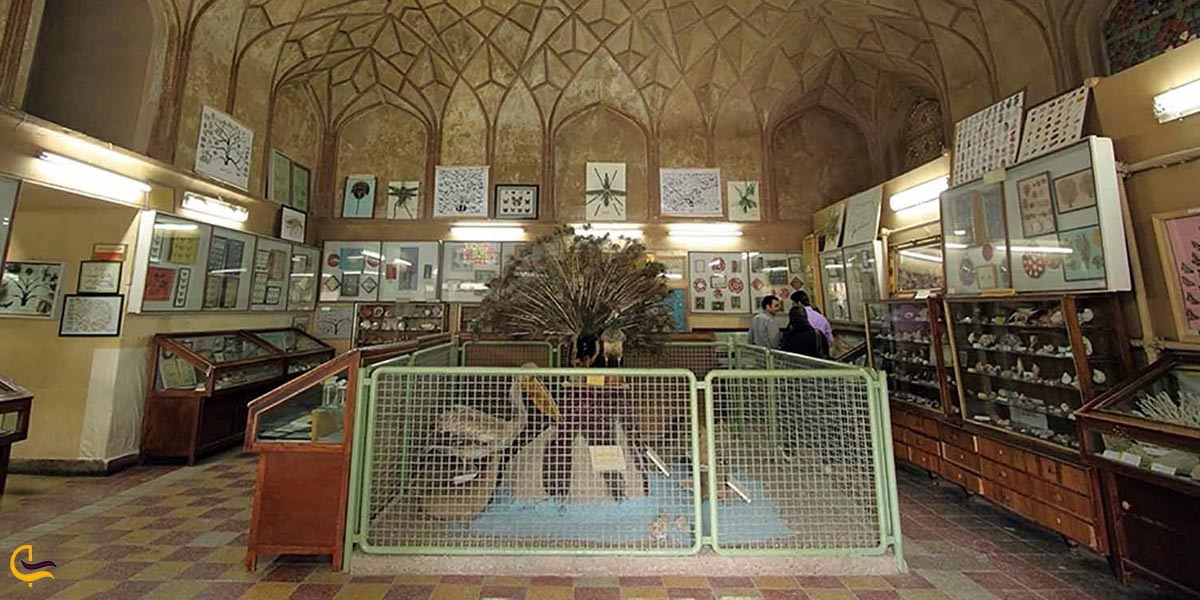 تصویری از موزه تاریخ طبیعی اصفهان