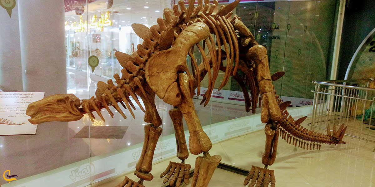 عکس دیرینه‌شناسی در پارک علمی پروفسور بازیما