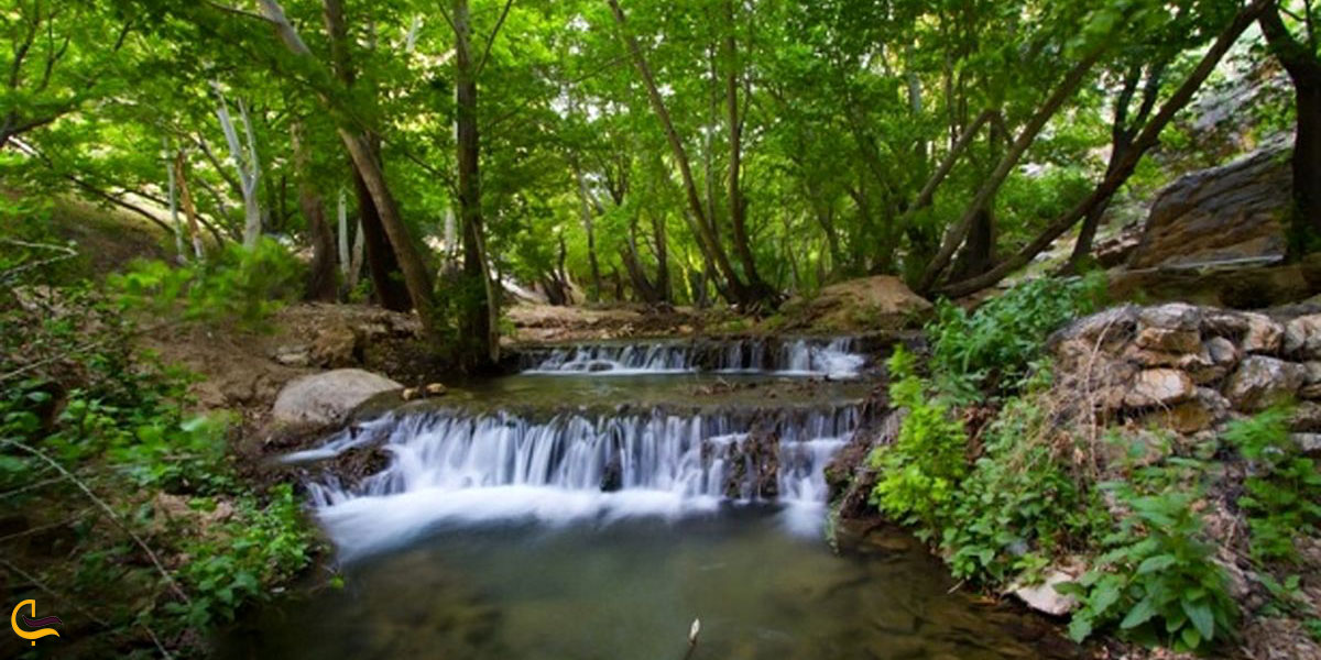 عکس بهشت گمشده