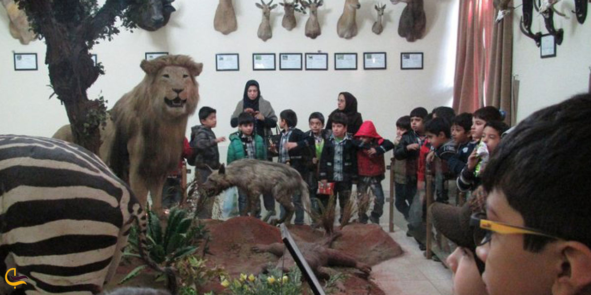 تصویری از بازدید کودکان از موزه هفت چنار